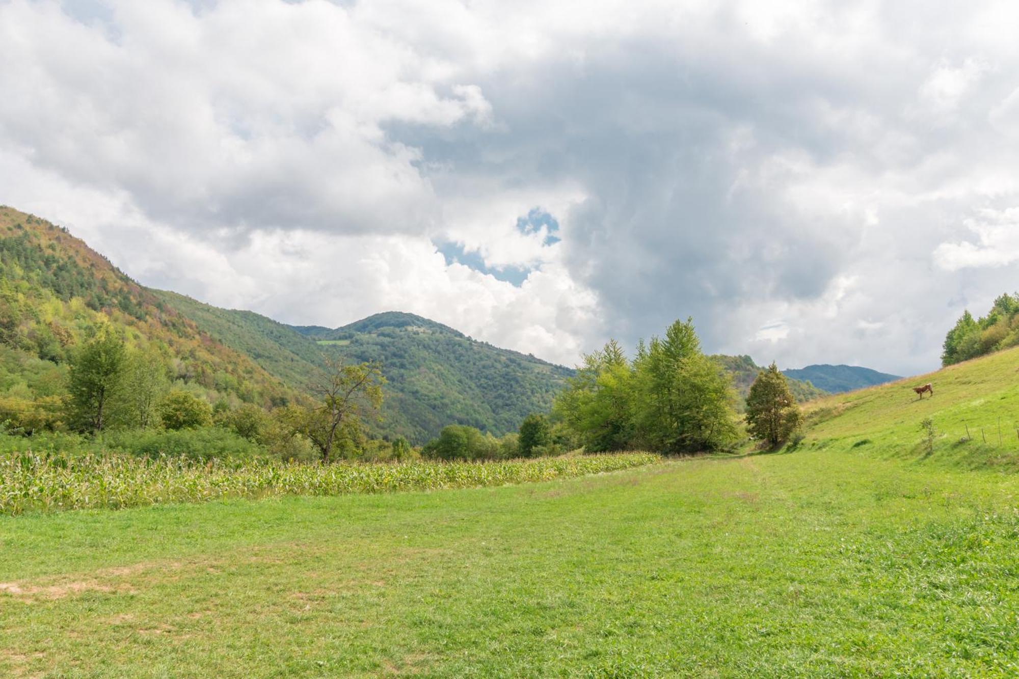 Pensiunea Popasul Ursilor Chiscau Esterno foto